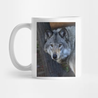 Timber wolf closeup Mug